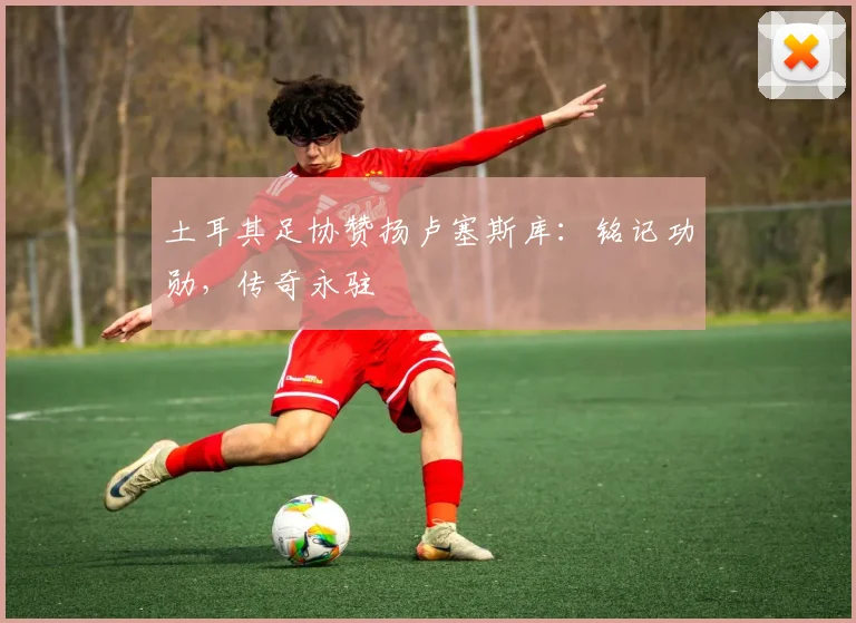 土耳其足协赞扬卢塞斯库：铭记功勋，传奇永驻