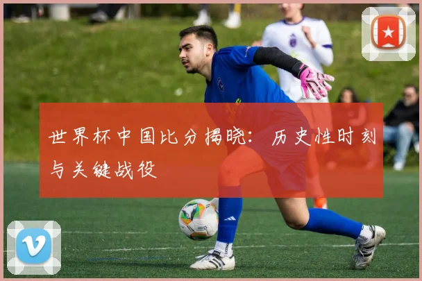 世界杯中国比分揭晓:历史性时刻与关键战役